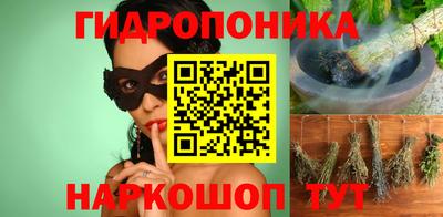 шишки Бузулук