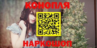 шишки Бузулук
